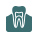 Animated tooth within the gums icon highlighted