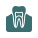 Tooth and gums icon