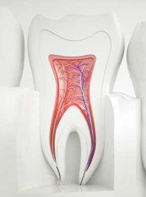 Animation of the inside of a tooth