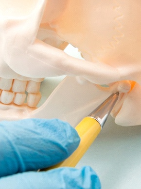 Gloved hand using pen to point at TMJ on skull model