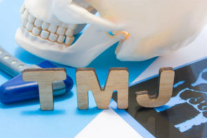 TMJ and model of human skull